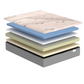Queen Lyric 12" Plush Bed-In-A-Box