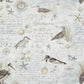 Designer Fabrics