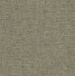 Standard Fabric