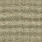 Standard Fabric