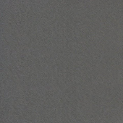 Standard Fabric