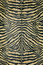 AK1 Gold