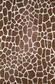 Akina Rug