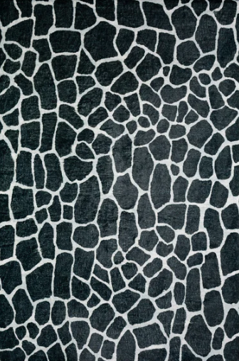 Akina Rug
