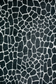 Akina Rug