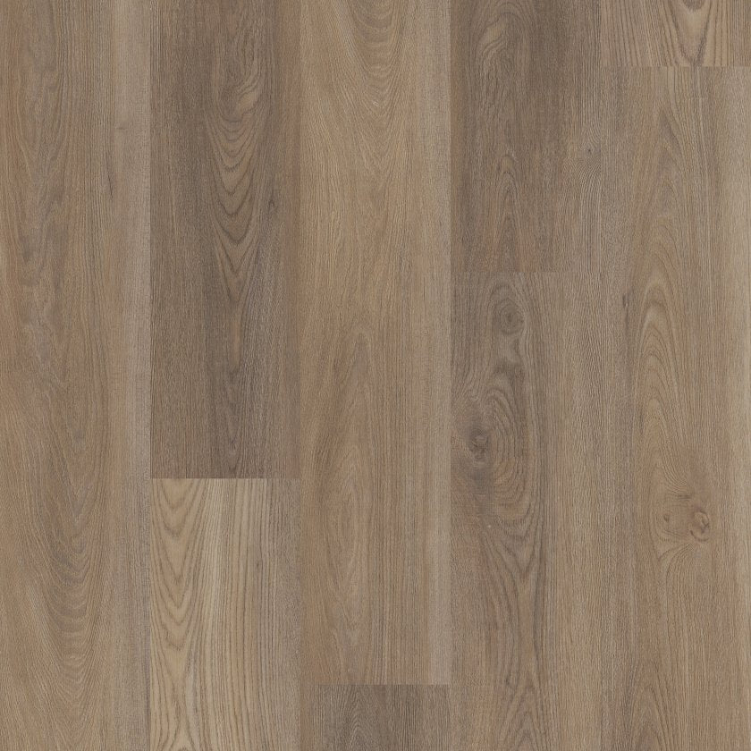 Distinction Plus By Shaw