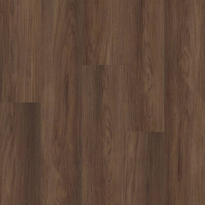 Distinction Plus By Shaw