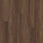 Burnt Umber