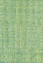 CS5 Kiwi