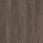Dark Elm