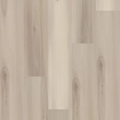 Distinction Plus By Shaw