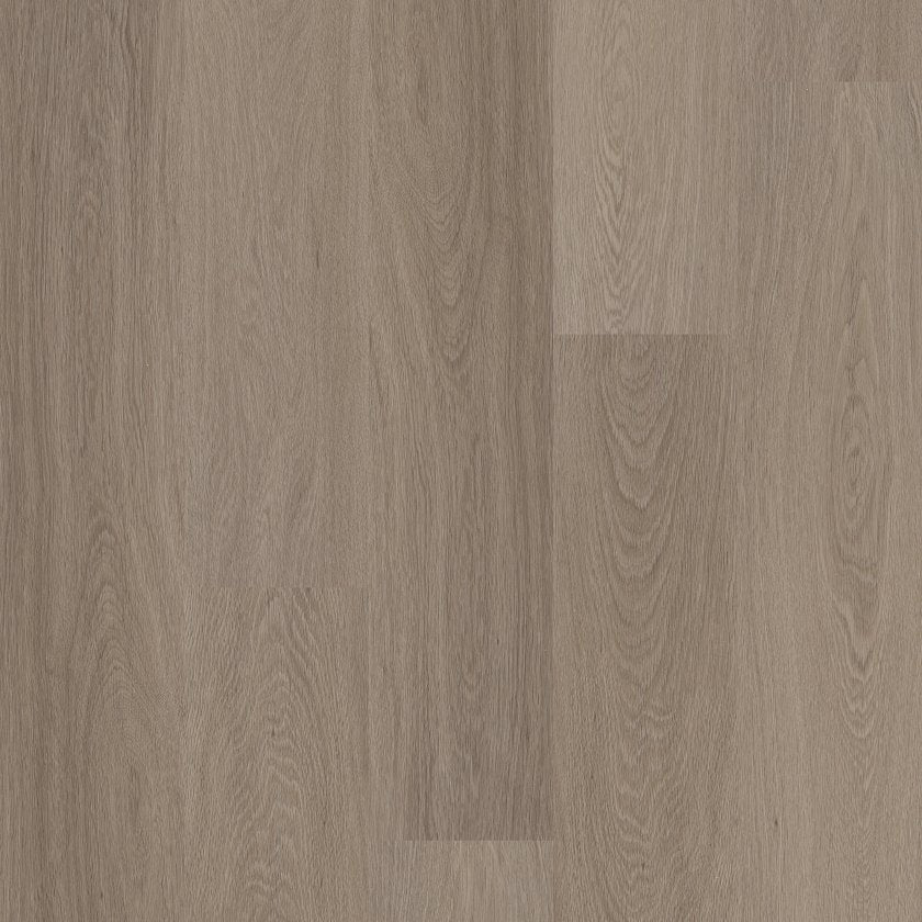 Distinction Plus By Shaw