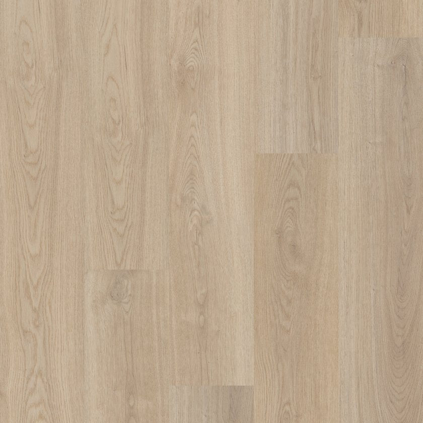 Distinction Plus By Shaw