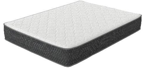 Greenville 12" Plush
