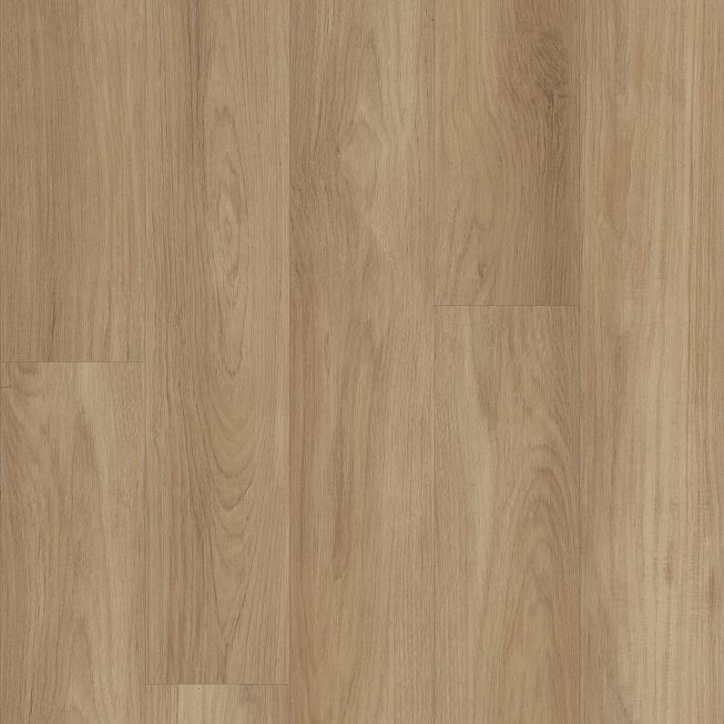 Distinction Plus By Shaw