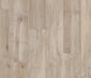 COREtec Pro Premium