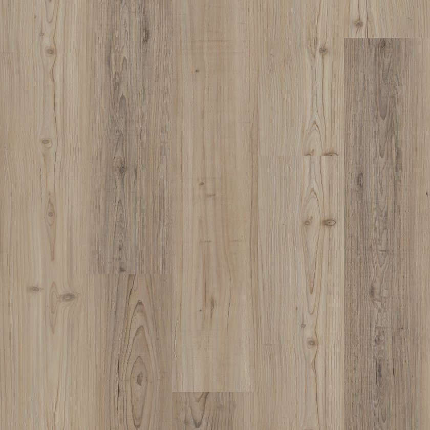 Distinction Plus By Shaw
