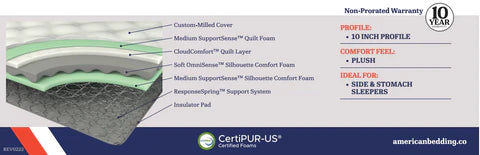 Pattinson 10'' Plush