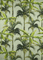 TC10 Aloe
