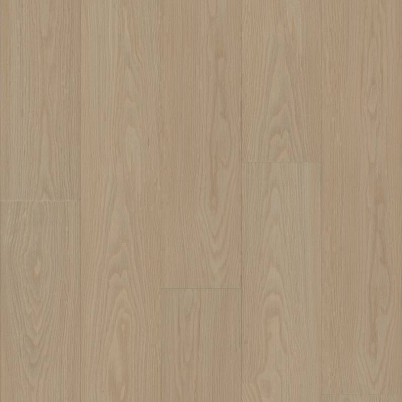 Distinction Plus By Shaw