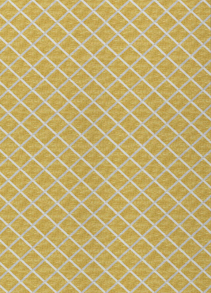 York Indoor/Outdoor Rug