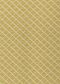 York Indoor/Outdoor Rug