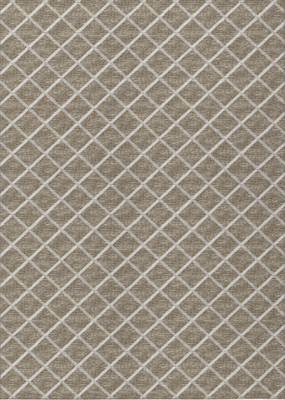 York Indoor/Outdoor Rug